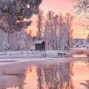 Meet your Posher, Harley